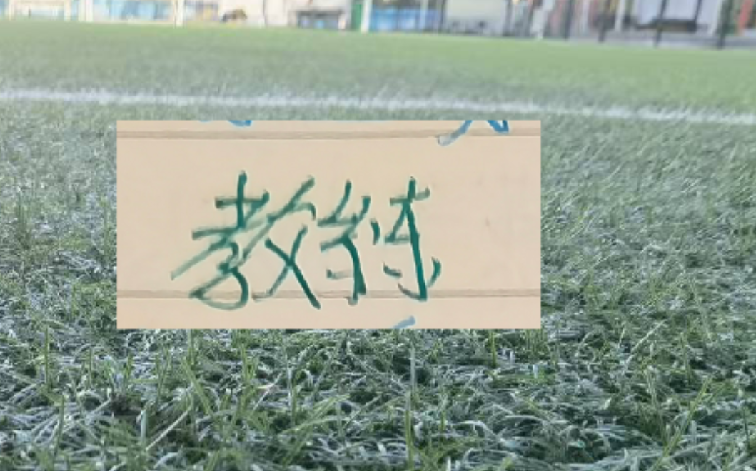 开云-2025赛季北京国安的塞蒂恩+拉米罗 算是成功的吗？